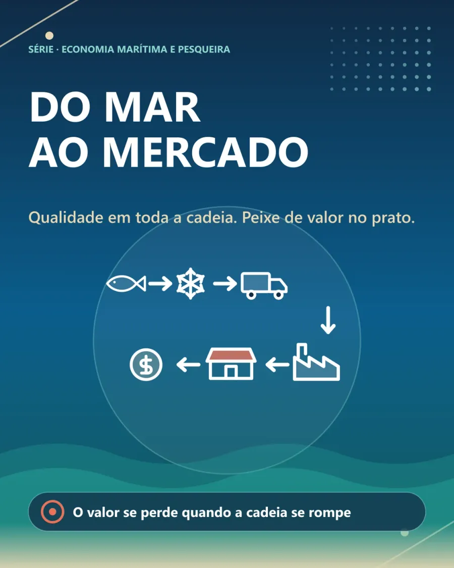 Capa "Do mar ao mercado — qualidade em toda a cadeia, peixe de valor no prato": fluxo de ícones ligados por setas — peixe, gelo, caminhão, fábrica, loja e moeda. Legenda: o valor se perde quando a cadeia se rompe.
